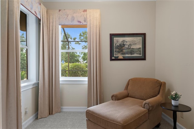 19815 Sea Rider Way, Lutz, FL 33559 - sitting room featuring light colored carpet and baseboards