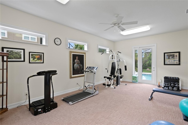 19815 Sea Rider Way, Lutz, FL 33559 - workout area with ceiling fan, carpet flooring, and baseboards