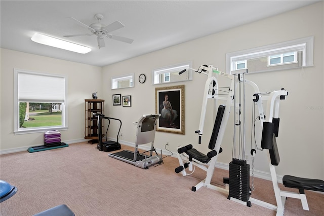 19815 Sea Rider Way, Lutz, FL 33559 - workout area with carpet, a ceiling fan, and baseboards