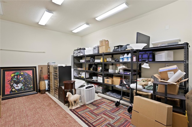19815 Sea Rider Way, Lutz, FL 33559 - view of storage room