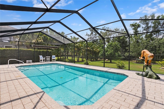 19815 Sea Rider Way, Lutz, FL 33559 - outdoor pool featuring a patio and a lanai