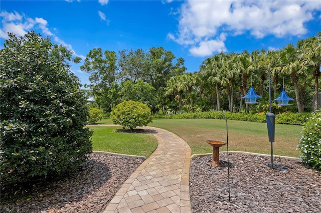19815 Sea Rider Way, Lutz, FL 33559 - view of property's community with a lawn