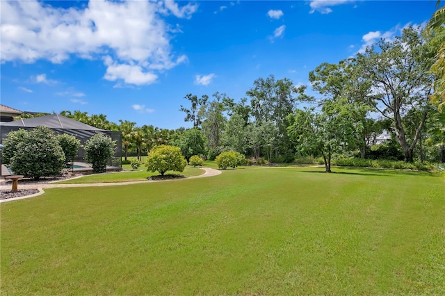 19815 Sea Rider Way, Lutz, FL 33559 - view of green lawn with view of wooded area