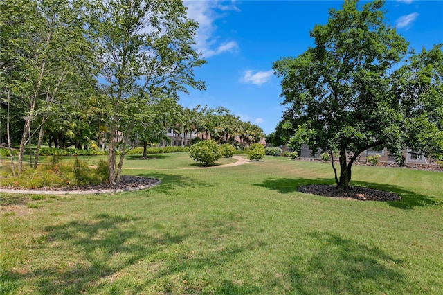 19815 Sea Rider Way, Lutz, FL 33559 - view of green lawn