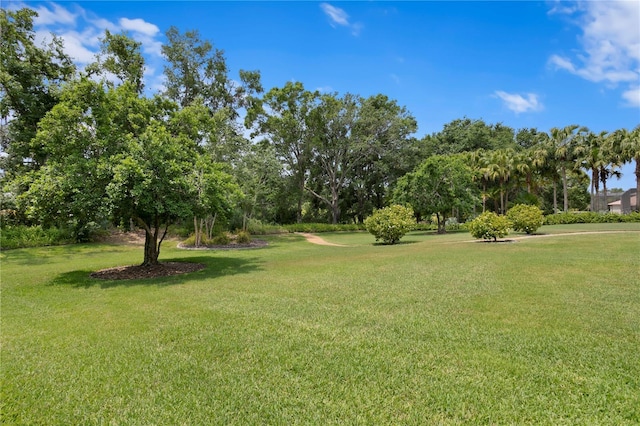19815 Sea Rider Way, Lutz, FL 33559 - view of grassy yard featuring view of scattered trees