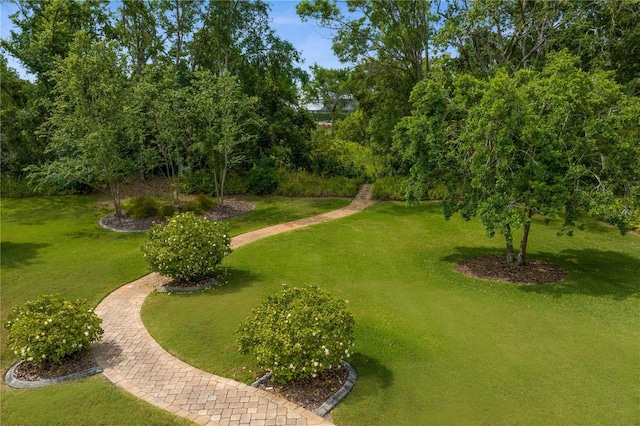 19815 Sea Rider Way, Lutz, FL 33559 - surrounding community with a yard