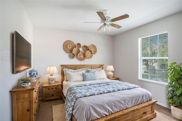 5804 Butterfield St, Riverview, FL 33578 - carpeted bedroom with baseboards and ceiling fan