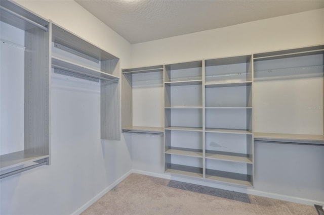 7307 S Morton St, Tampa, FL 33616 - photo 26