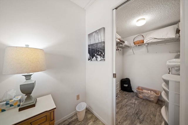 walk in closet featuring wood finished floors