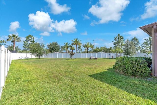 11606 Kilkenny Coral Dr, Riverview, FL 33579 - view of yard
