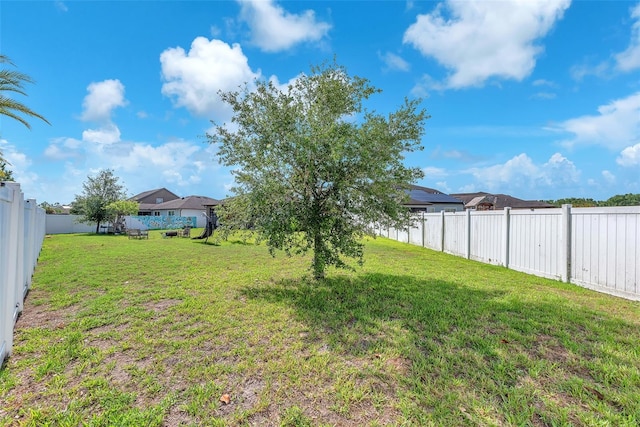11606 Kilkenny Coral Dr, Riverview, FL 33579 - view of yard