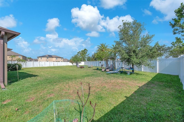 11606 Kilkenny Coral Dr, Riverview, FL 33579 - view of yard