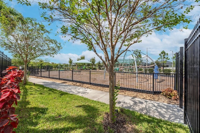 11606 Kilkenny Coral Dr, Riverview, FL 33579 - view of yard