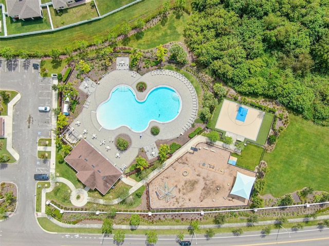 11606 Kilkenny Coral Dr, Riverview, FL 33579 - bird's eye view of a pool area