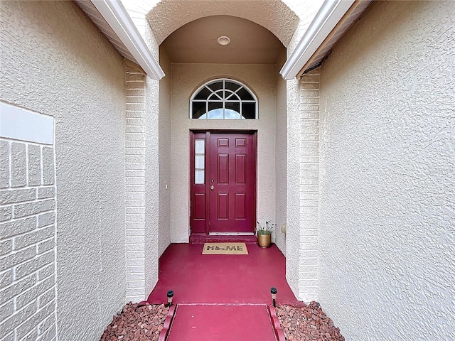 24305 Denali Ct, Lutz, FL 33559 - view of exterior entry featuring stucco siding