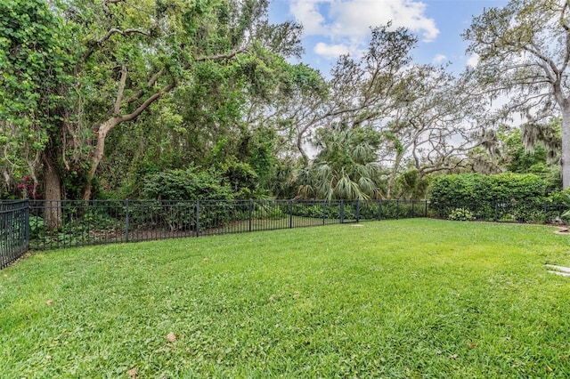6038 Palomaglade Dr, Lithia, FL 33547 - photo 24