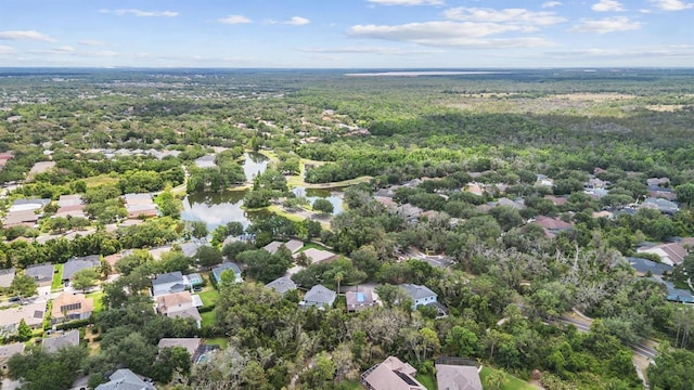 6038 Palomaglade Dr, Lithia, FL 33547 - photo 33