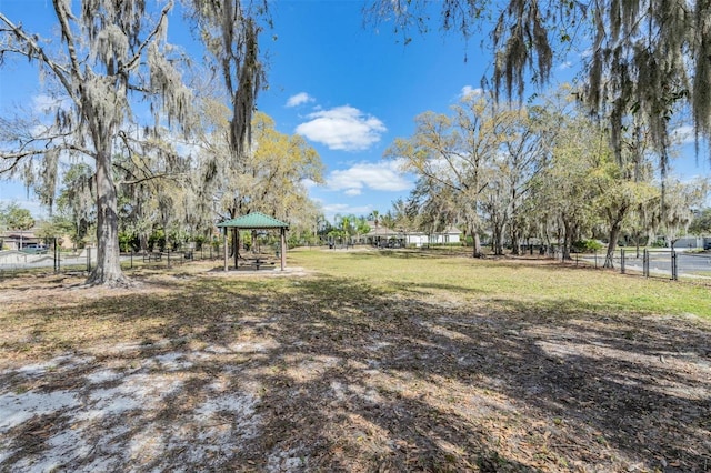 6038 Palomaglade Dr, Lithia, FL 33547 - photo 42