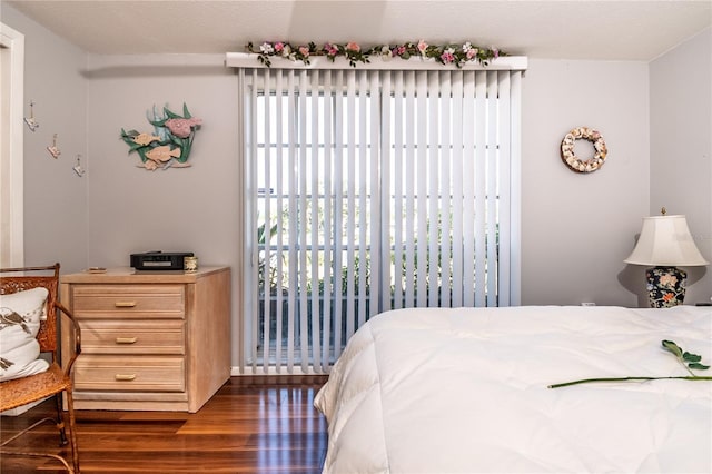 12303 Fieldstone Ln, Hudson, FL 34667 - bedroom with multiple windows and wood finished floors