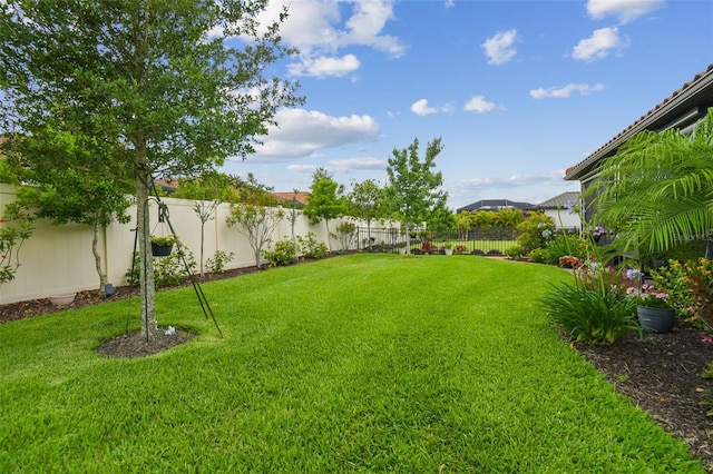 view of yard