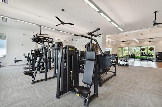 exercise room with ceiling fan and carpet