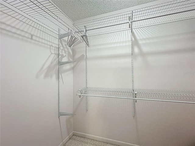 9679 W Pimpernel Ln, Crystal River, FL 34429 - view of walk in closet