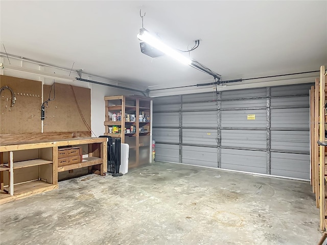 9679 W Pimpernel Ln, Crystal River, FL 34429 - view of garage