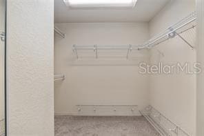 walk in closet with carpet