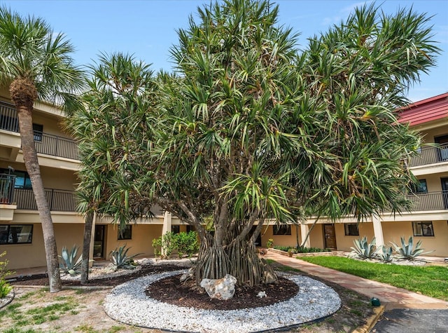 868 Bayway Blvd Unit 206, Clearwater Beach, FL 33767 - view of property's community