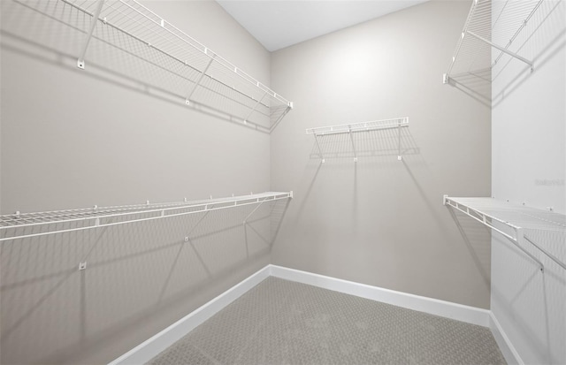 spacious closet featuring carpet flooring