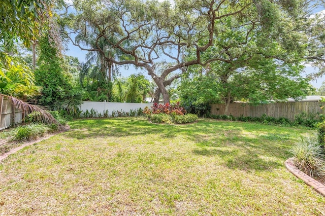 view of yard with a fenced backyard