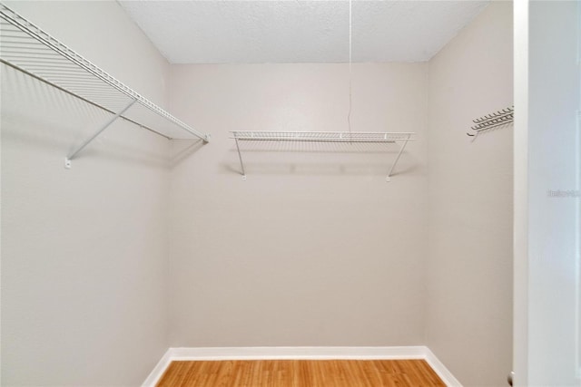 6110 N Suwanee Ave, Tampa, FL 33604 - photo 32
