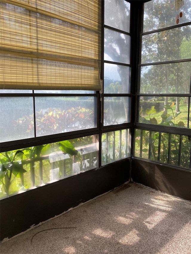 unfurnished sunroom featuring carpet