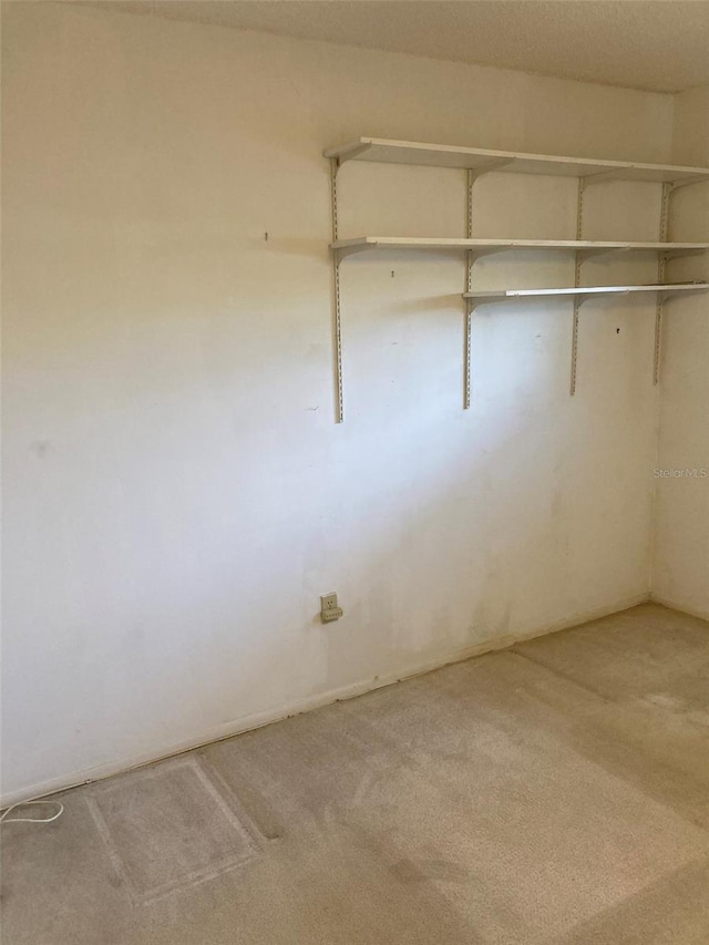 interior space featuring carpet