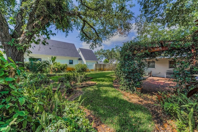 view of yard featuring a patio area