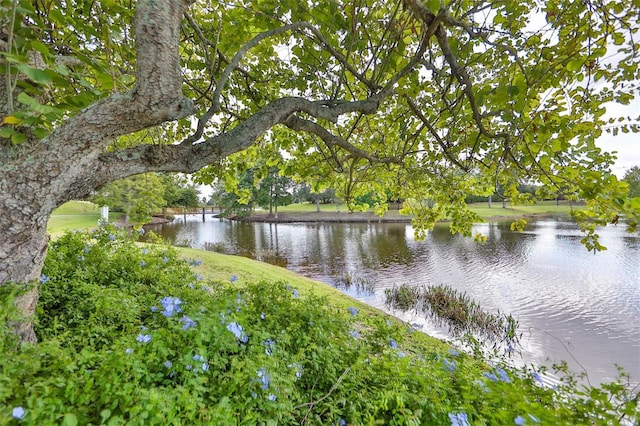 view of water feature