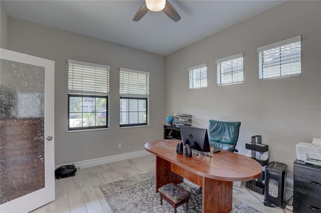 11222 Hawks Fern Dr, Riverview, FL 33569 - photo 12