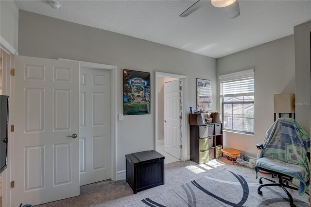 11222 Hawks Fern Dr, Riverview, FL 33569 - photo 46
