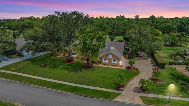 2769 St Andrews Blvd, Tarpon Springs, FL 34688 - view of aerial view at dusk