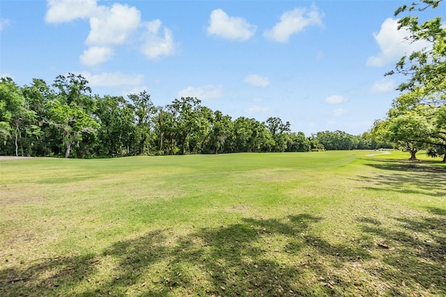 2769 St Andrews Blvd, Tarpon Springs, FL 34688 - view of grassy yard featuring view of golf course and view of scattered trees
