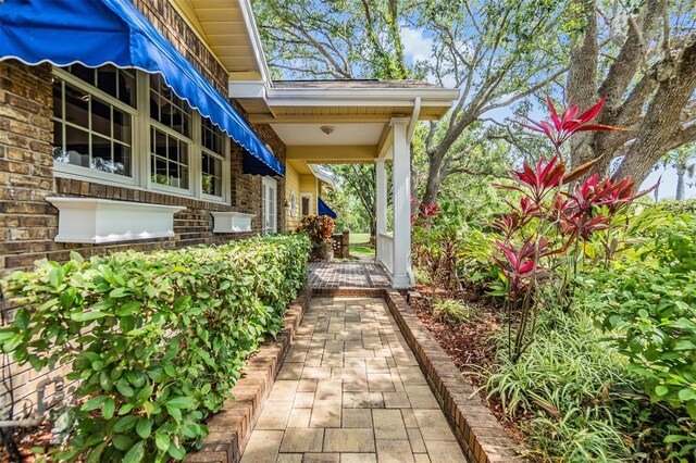 2769 St Andrews Blvd, Tarpon Springs, FL 34688 - view of patio