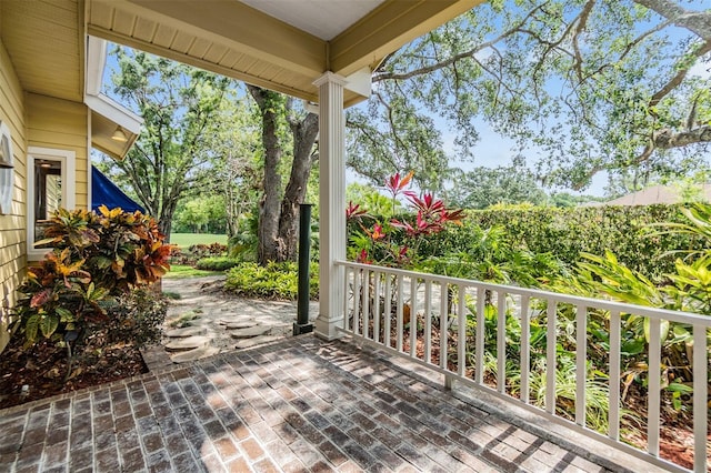2769 St Andrews Blvd, Tarpon Springs, FL 34688 - view of covered porch