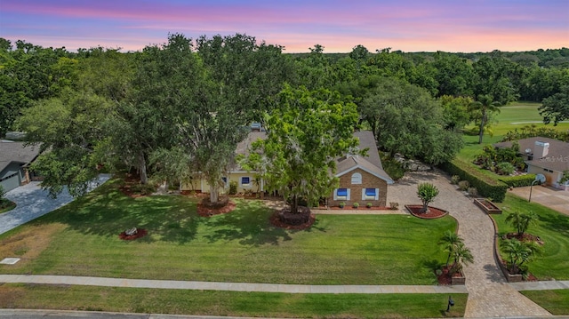 2769 St Andrews Blvd, Tarpon Springs, FL 34688 - view of aerial view at dusk