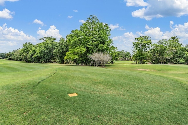 2769 St Andrews Blvd, Tarpon Springs, FL 34688 - view of property's community with view of golf course, view of wooded area, and a yard