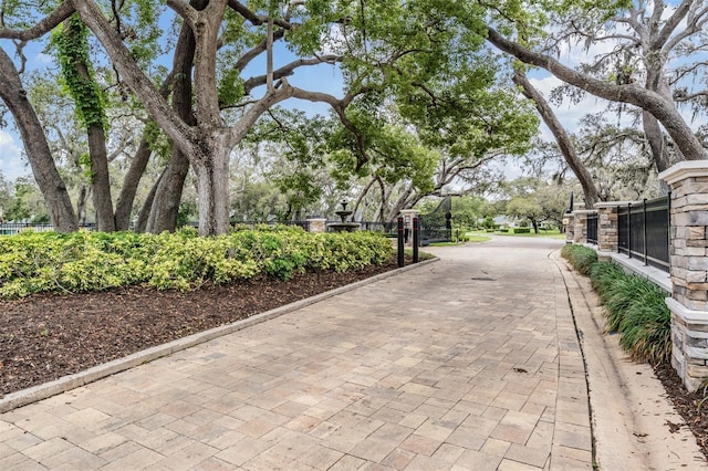 2769 St Andrews Blvd, Tarpon Springs, FL 34688 - view of community