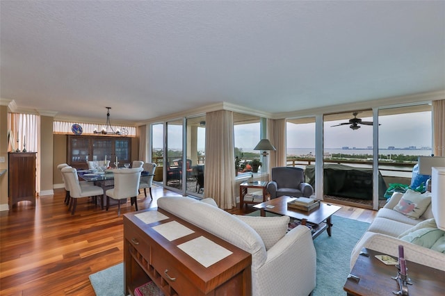 5701 Mariner St Unit 701, Tampa, FL 33609 - living area with wood finished floors, healthy amount of natural light, ceiling fan, and baseboards