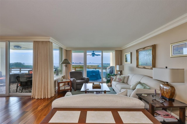 5701 Mariner St Unit 701, Tampa, FL 33609 - living room with wood finished floors, crown molding, a wall of windows, and a ceiling fan
