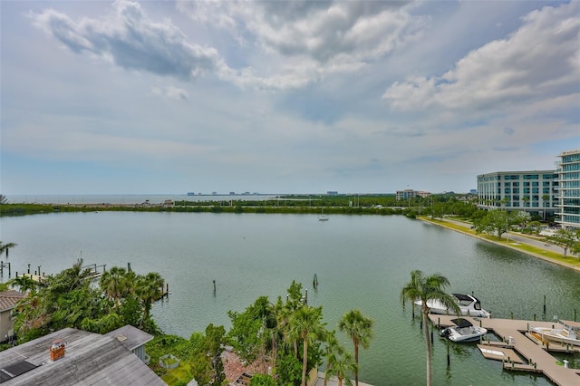 5701 Mariner St Unit 701, Tampa, FL 33609 - water view
