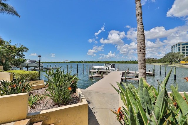 5701 Mariner St Unit 701, Tampa, FL 33609 - dock area featuring a water view and boat lift