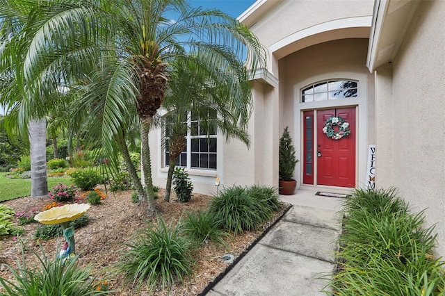 13813 Sigler St, Riverview, FL 33579 - doorway to property featuring stucco siding